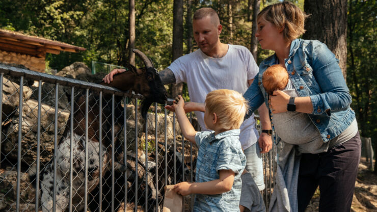 Familie im Tierpark Biel, eine Ziege streichelnd