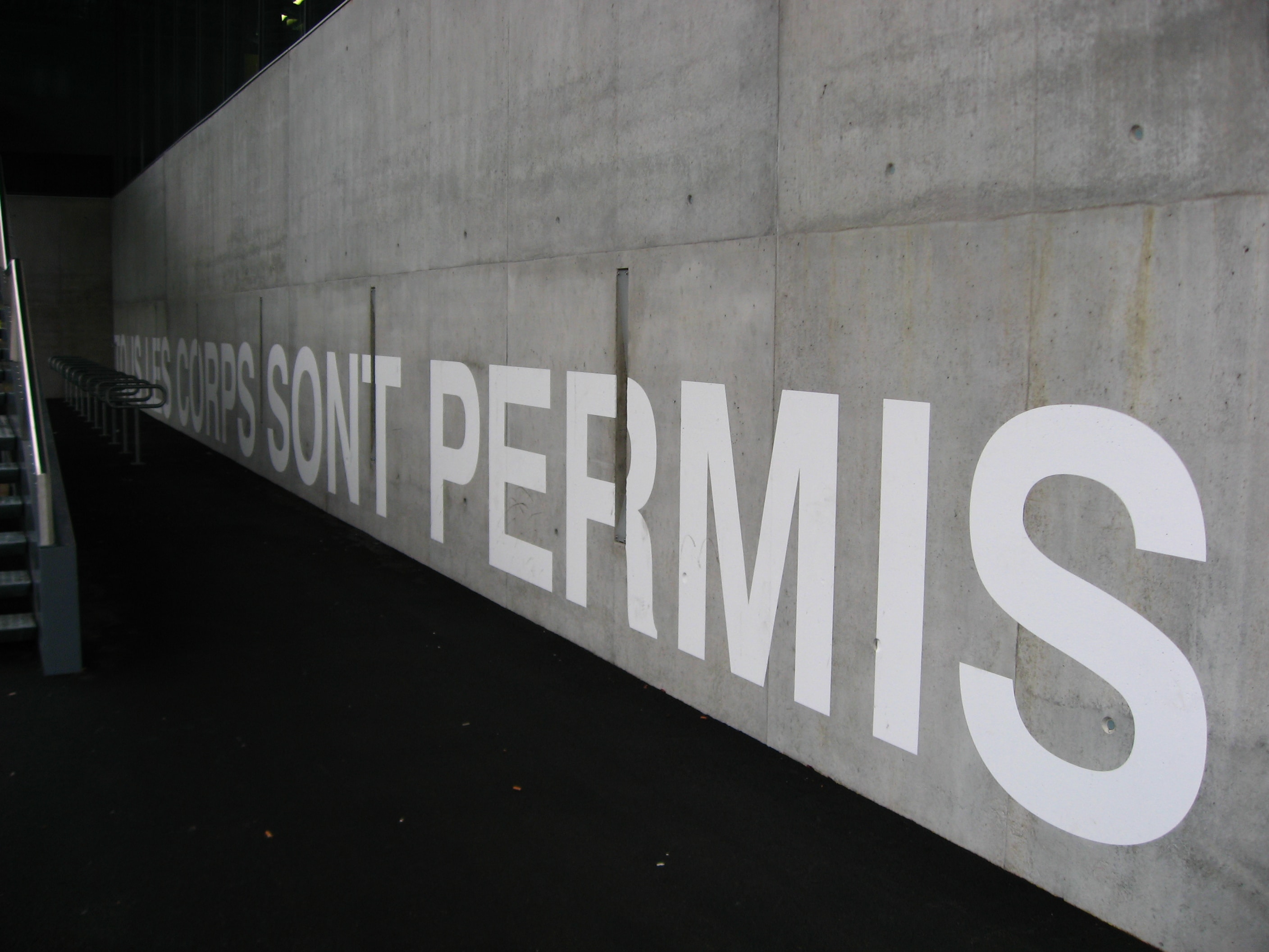 Auf einer Betonwand steht folgendes in weisser Farbe und gross geschrieben: "Tous les corps sont permis."