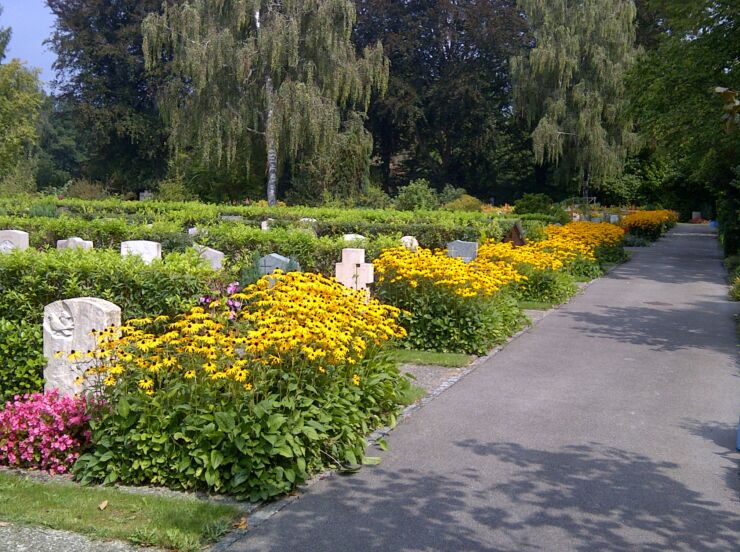 Cimetière de Madretsch; chemin asphalté. Une rangée de tombes ornementée de fleurs jaunes et roses est visible sur la gauche.